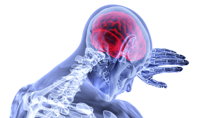 brain damaging drugs for addiction treatment in miami